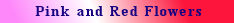 btnpkredwht_02_size.jpg